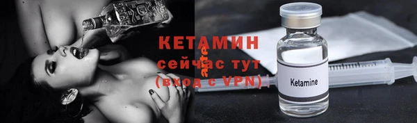 шишки Аркадак
