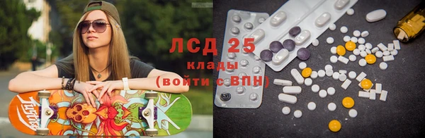 шишки Аркадак