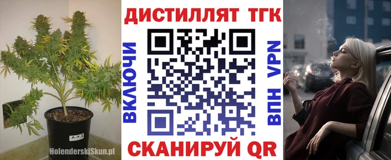 OMG сайт  Благодарный  Дистиллят ТГК вейп с тгк 
